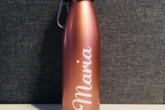 Insulated Water Bottle- with clip