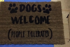 Door mat